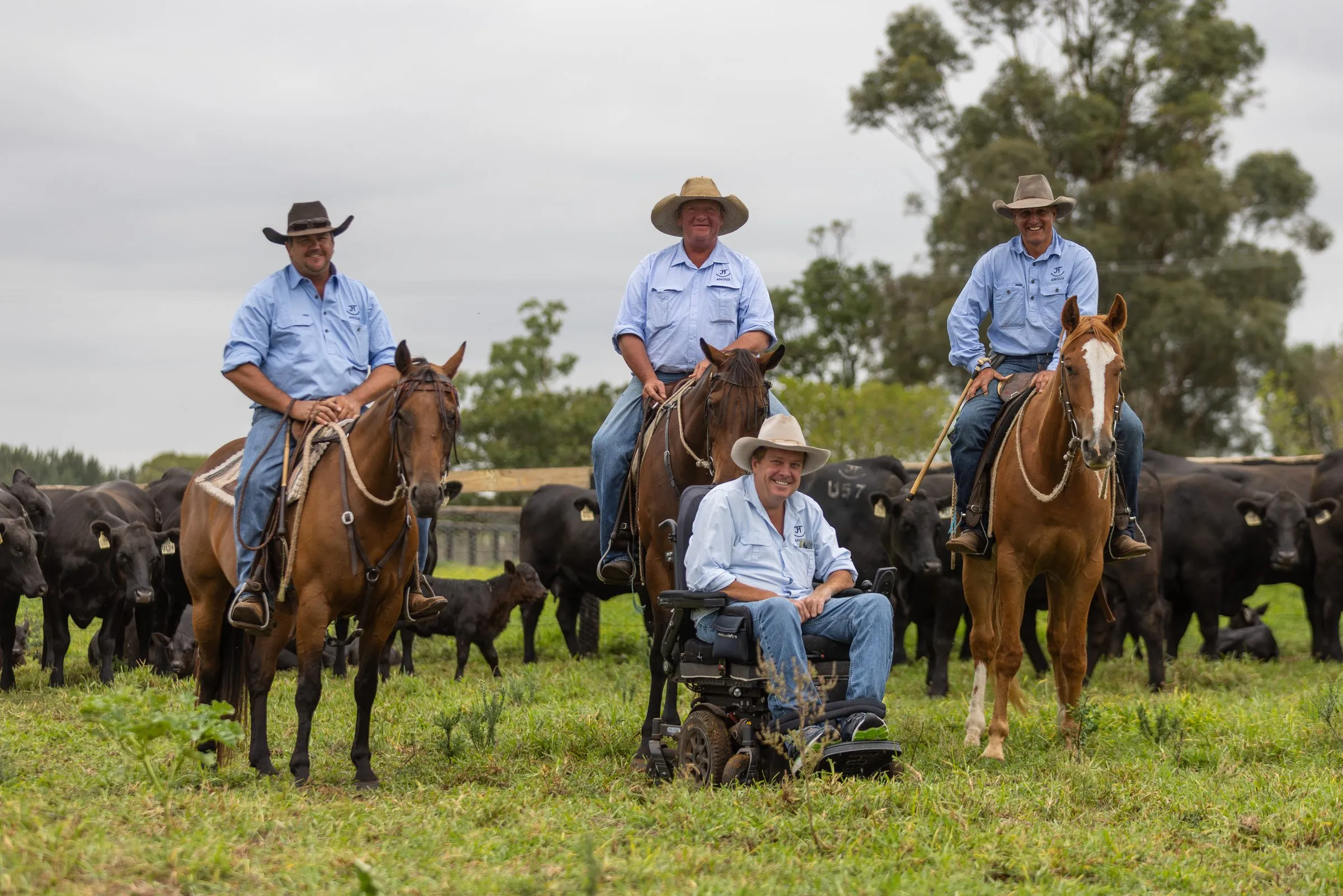 Josh Clift in the paddock with three of the JT Angus crew on horseback and the cattle behind